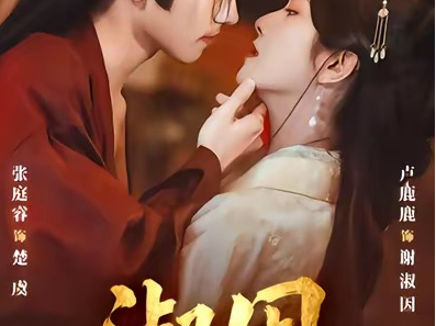 短剧《淑因》全65集完整版免费在线观看高清资源免费下载观看