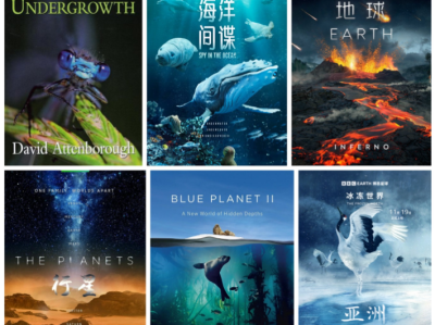 BBC纪录片大合集 ( 77 部 ) 4K高码率 + 内封中英双语字幕 942 GB